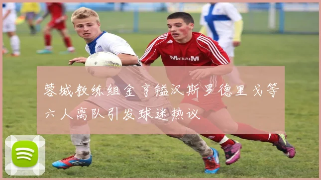 蓉城教练组金亨镒汉斯罗德里戈等六人离队引发球迷热议